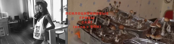 кристаллы Покровск