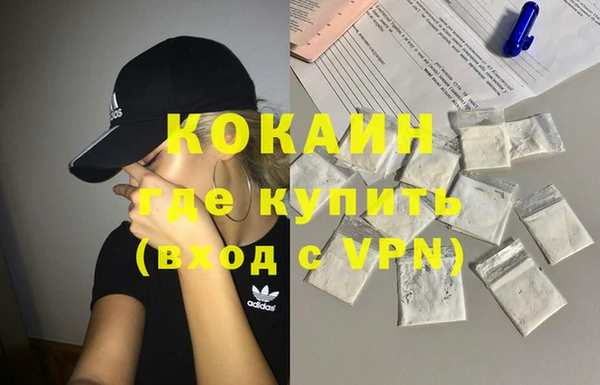 тгк Ельня