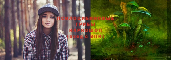 ECSTASY Покров