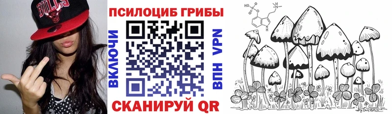Псилоцибиновые грибы прущие грибы  Каменск-Шахтинский 